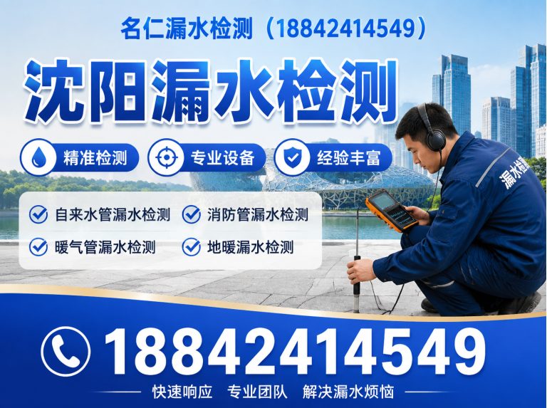 新民市管道漏水检测展示图